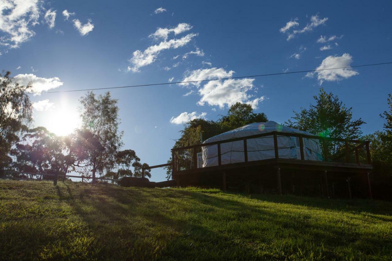 Awesome Glamping Gold Coast Hinterland Hotel Advancetown ภายนอก รูปภาพ