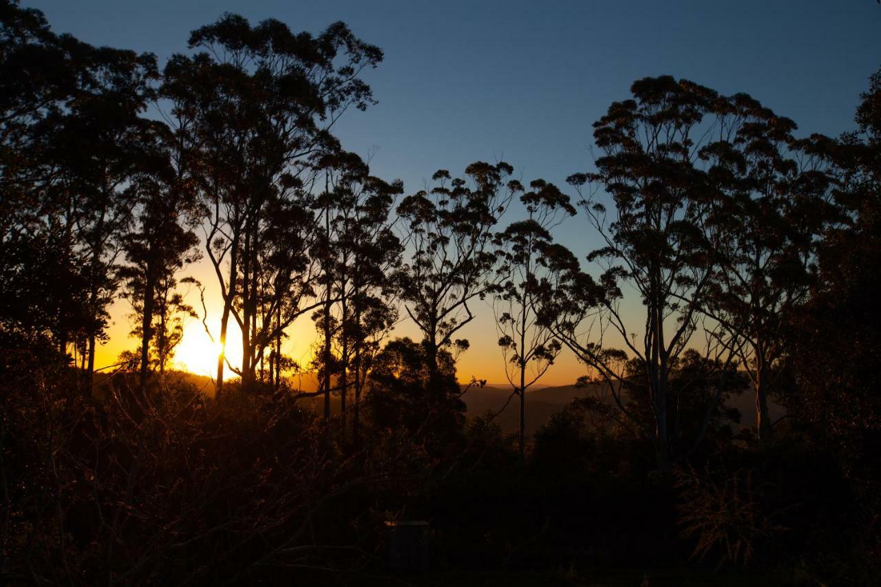 Awesome Glamping Gold Coast Hinterland Hotel Advancetown ภายนอก รูปภาพ